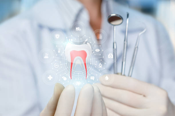  Spencerport, NY Dental Services Pros